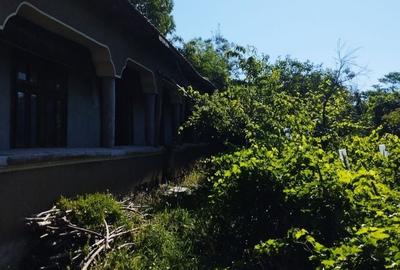 Casă cu 3 camere cu Teren 1900 Mp în Comana