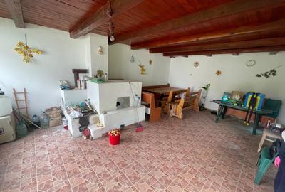 Casă individuală cu 3 camere cu Canalizare în Pianu de Sus - 10
