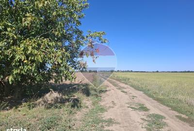 Teren de 5000 mp, în Central