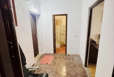 Apartament cu 2 camere decomandat în Vișani - 6