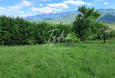 Teren agricol extravilan de 5967 mp, în Tălmaciu - 5