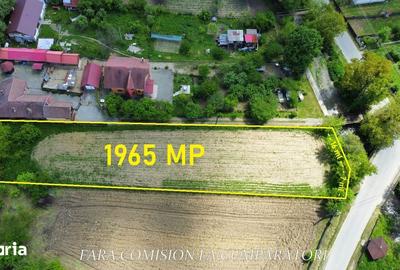 Teren de 1965 mp, în Păușești - 3