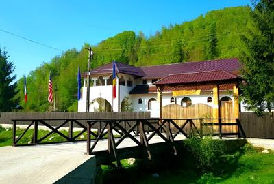 Casă cu 8 camere cu Teren 6100 Mp în Berevoești - 3