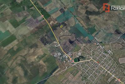 Teren agricol extravilan de 10000 mp, în Săcălaz - 3