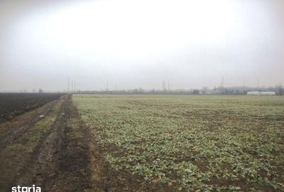Teren de 2306 mp, în Cocorăștii Mislii - 2
