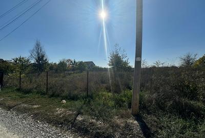 Teren Construcții intravilan de 1000 mp, în Mogoșoaia - 4
