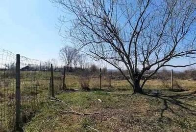Teren de 5000 mp, în Șimian - 5