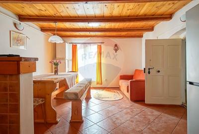Apartament cu 2 camere semidecomandat, mobilat în Centrul Istoric - 15