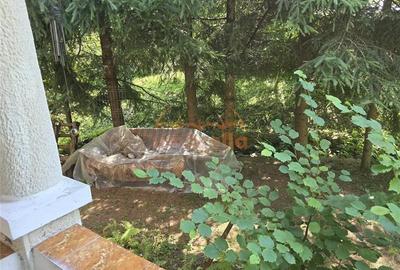 Casă individuală cu 5 camere cu Canalizare în Someșu Rece - 12