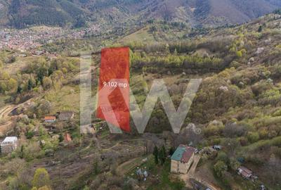 Teren Construcții intravilan de 9102 mp, în Drumul Poienii - 5