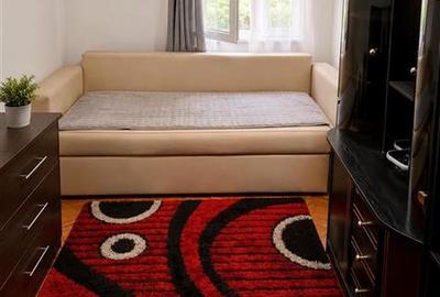 Apartament cu 2 camere decomandat, mobilat în Mureșeni