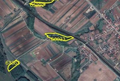 Teren de 207009 mp, în Răcarii de Jos