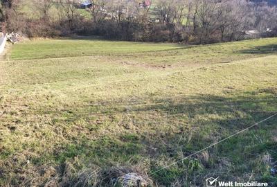 Teren Construcții intravilan de 6179 mp, în Tăuți - 3