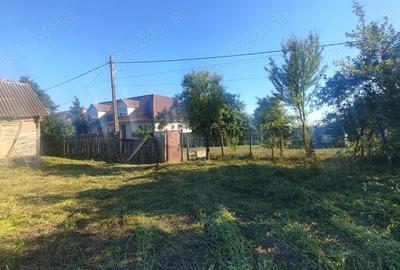 Teren de 2800 mp, în Jdioara - 3