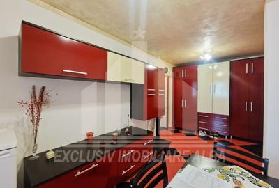 Apartament cu 2 camere decomandat, mobilat în Cetate - 3