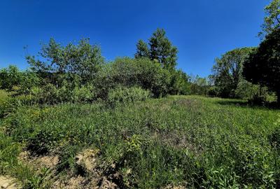Teren agricol extravilan de 823 mp, în Șinca Nouă - 2