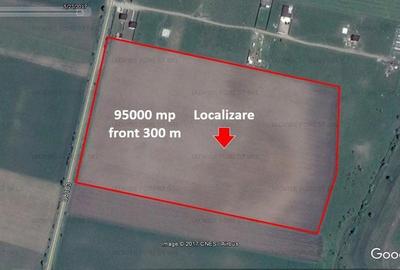 Teren agricol extravilan de 95000 mp, în Sânpetru - 3