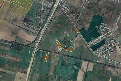 Teren agricol extravilan de 30000 mp, în Giroc - 2