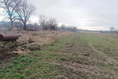 Teren de 3000 mp, în Vad - 1