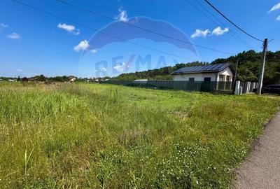 Teren Construcții intravilan de 1008 mp, în Moara Vlăsiei - 1