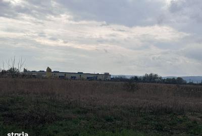 Teren de 26112 mp, în Ernei - 5