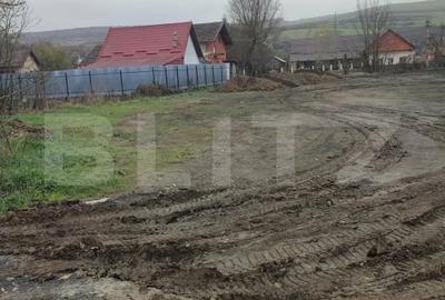 Teren Construcții intravilan de 3000 mp, în Mădăraș
