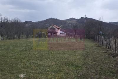 Teren în Central