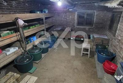 Casă cu 3 camere cu Teren 818 Mp în Central