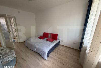 Apartament cu 2 camere semidecomandat în Cetate - 6