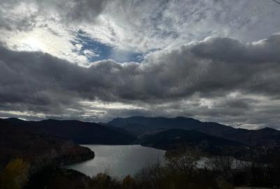 Teren de 5500 mp, în Buhalnița - 6