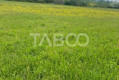 Teren de 3600 mp, în Poplaca