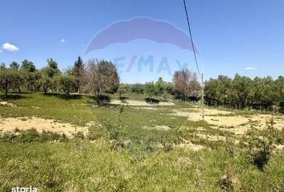 Casă cu 2 camere cu Teren 9035 Mp în Breb - 1