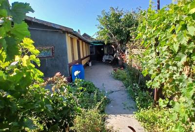 Casă cu Teren 1470 Mp în Tătaru