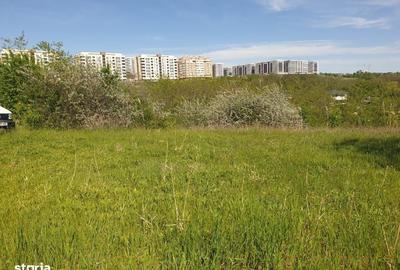 Spațiu comercial, în Copou