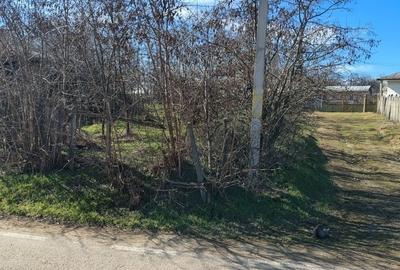 Teren de 2364 mp, în Brăhășești