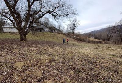 Teren Construcții intravilan de 1782 mp, în Măgura (Bezdead) - 9