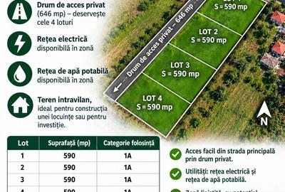 Teren de 590 mp, în Sinești