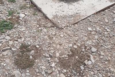 Casă cu 3 camere în Colacu - 4