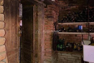 Casă cu 5 camere cu Teren 1303 Mp în Ludoș - 6