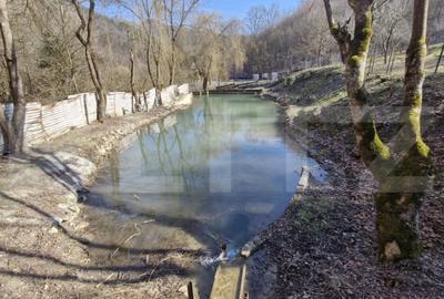 Casă cu 5 camere cu Teren 3000 Mp în Valea Inzelului - 6