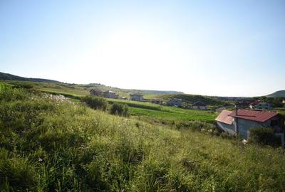 Teren Construcții intravilan de 3800 mp, în Chinteni - 3