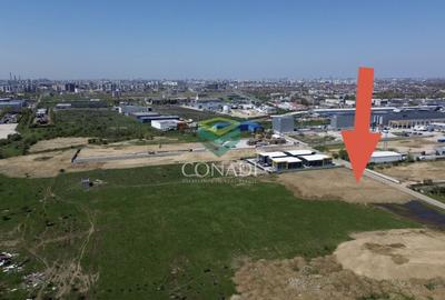 Teren Construcții intravilan de 18338 mp, în Cernica - 2