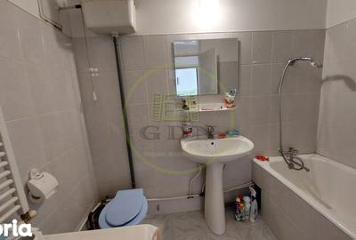 Garsonieră în Brazda lui Novac - 2