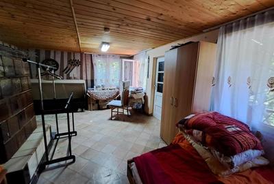 Casă individuală cu 7 camere cu Teren 1660 Mp în Pietroasa - 32