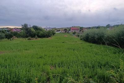 Teren de 4000 mp, în Poiana