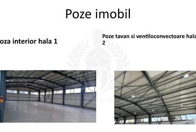 Spațiu industrial, în Rudului - 17