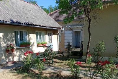 Casă cu 4 camere în Agrișu Mare - 1