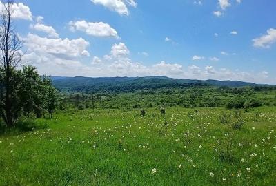 Teren de 10000 mp, în Valea Iașului - 3