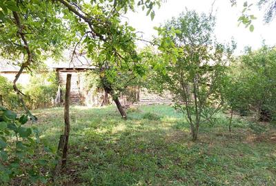 Casă individuală cu 6 camere cu Teren 1151 Mp în Ciuchici - 10