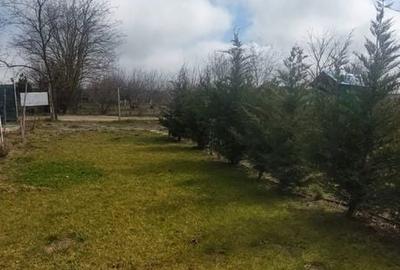 Teren de 830 mp, în Central - 4